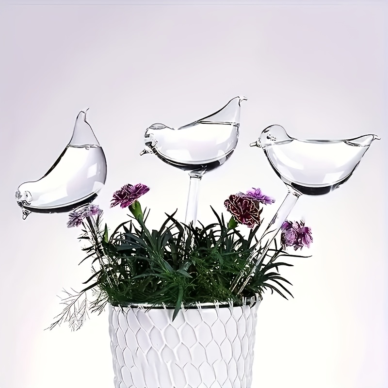 Набор из 5 автоматических поли – обзор и цена Bonsai Garden Design